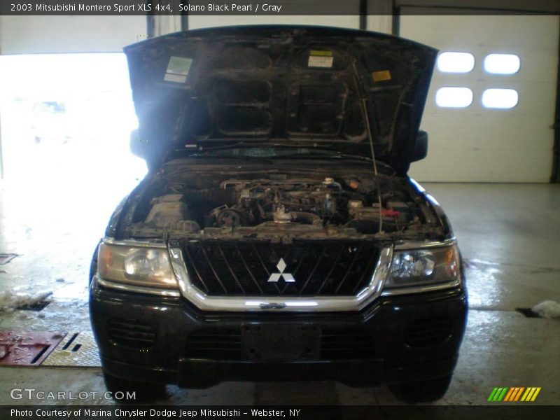 Solano Black Pearl / Gray 2003 Mitsubishi Montero Sport XLS 4x4