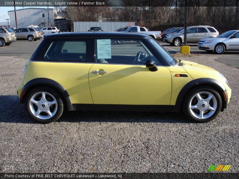 Liquid Yellow / Panther Black 2003 Mini Cooper Hardtop