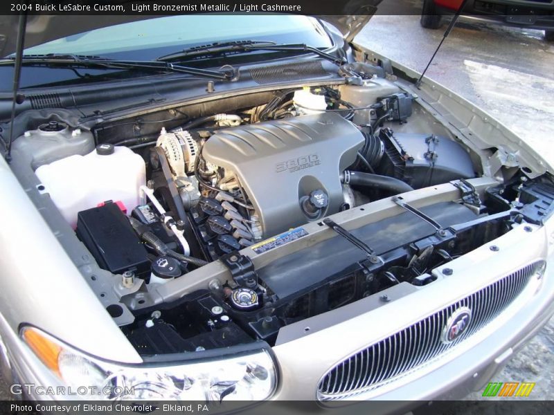 Light Bronzemist Metallic / Light Cashmere 2004 Buick LeSabre Custom
