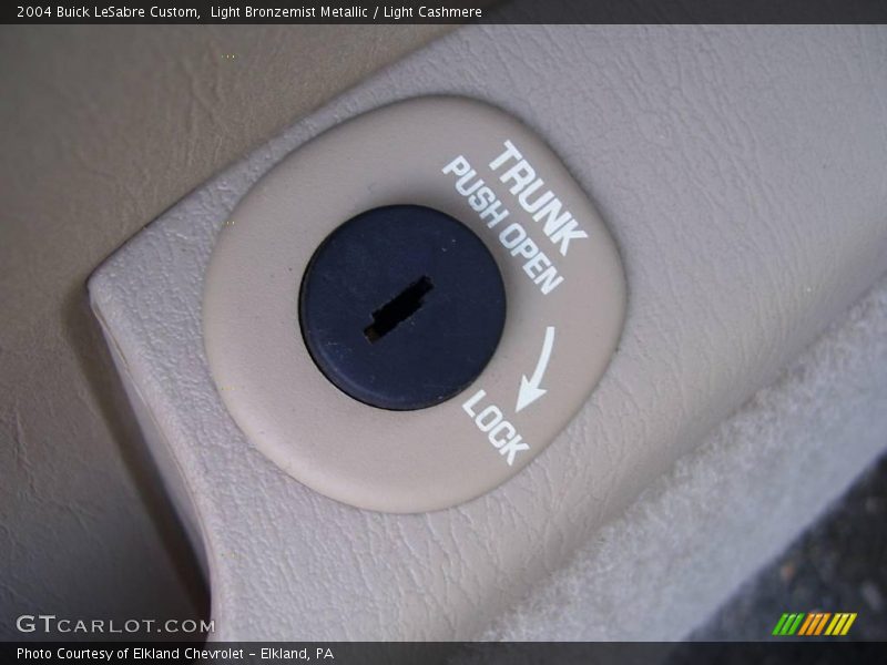 Light Bronzemist Metallic / Light Cashmere 2004 Buick LeSabre Custom