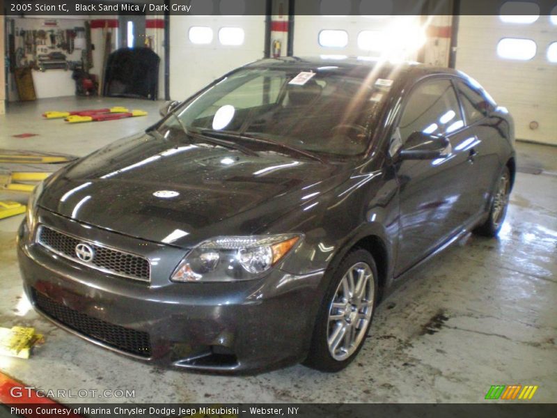 Black Sand Mica / Dark Gray 2005 Scion tC