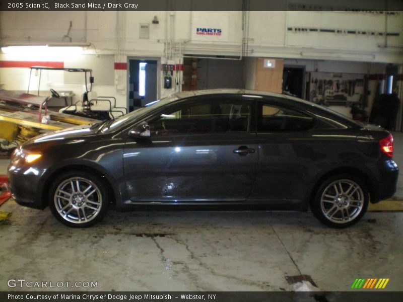 Black Sand Mica / Dark Gray 2005 Scion tC