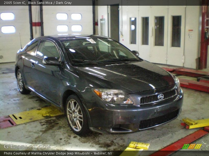 Black Sand Mica / Dark Gray 2005 Scion tC