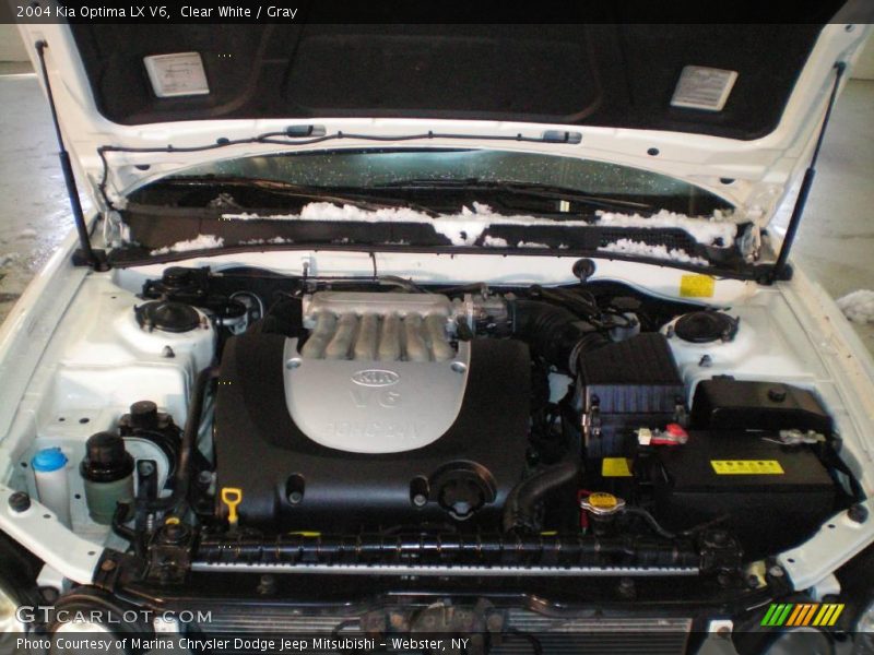 Clear White / Gray 2004 Kia Optima LX V6