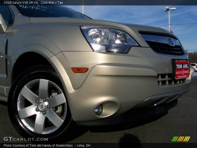 Gold Mist / Tan 2009 Saturn VUE XR V6