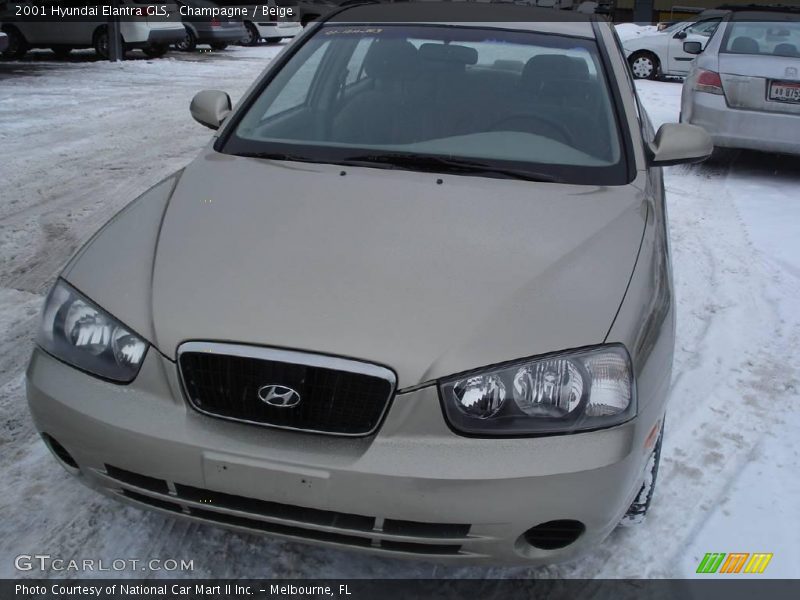 Champagne / Beige 2001 Hyundai Elantra GLS