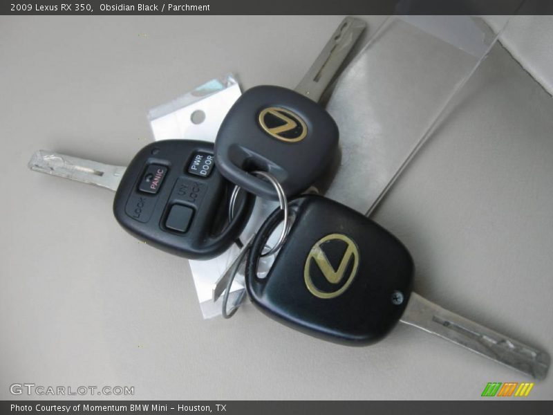 Obsidian Black / Parchment 2009 Lexus RX 350