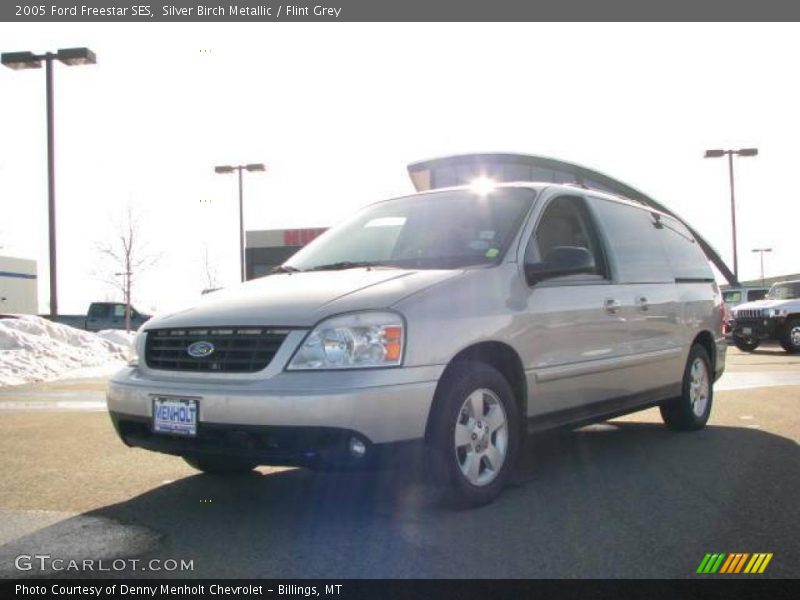 Silver Birch Metallic / Flint Grey 2005 Ford Freestar SES