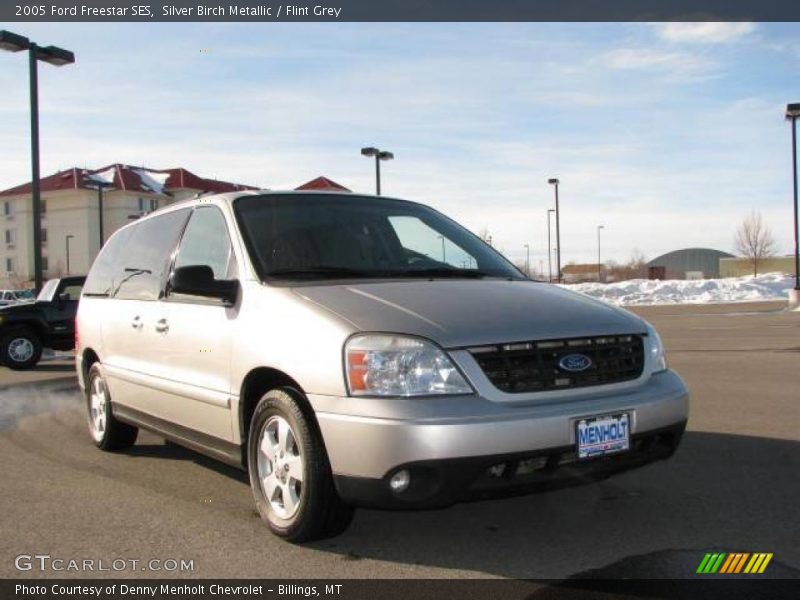 Silver Birch Metallic / Flint Grey 2005 Ford Freestar SES