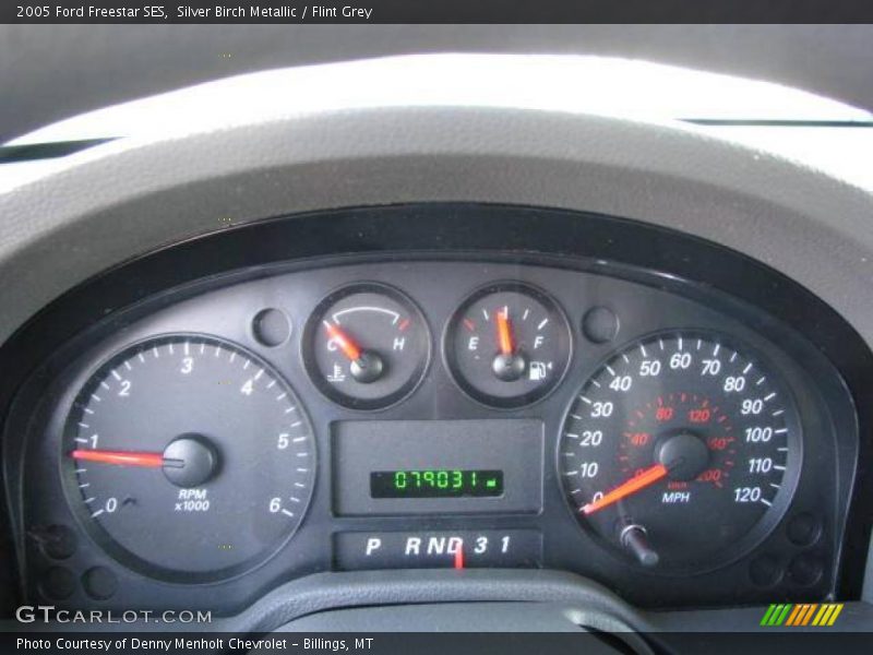 Silver Birch Metallic / Flint Grey 2005 Ford Freestar SES