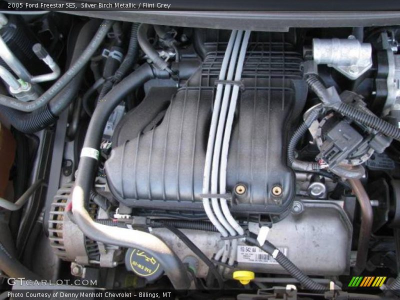 Silver Birch Metallic / Flint Grey 2005 Ford Freestar SES