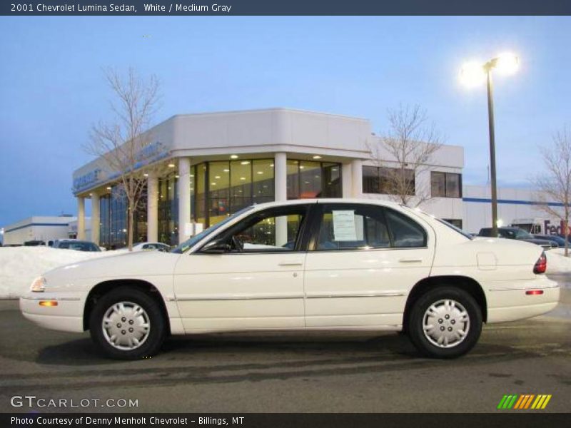 White / Medium Gray 2001 Chevrolet Lumina Sedan