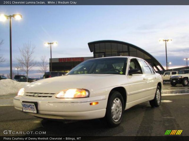 White / Medium Gray 2001 Chevrolet Lumina Sedan