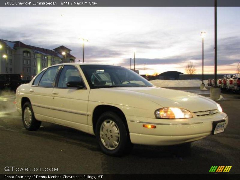 White / Medium Gray 2001 Chevrolet Lumina Sedan