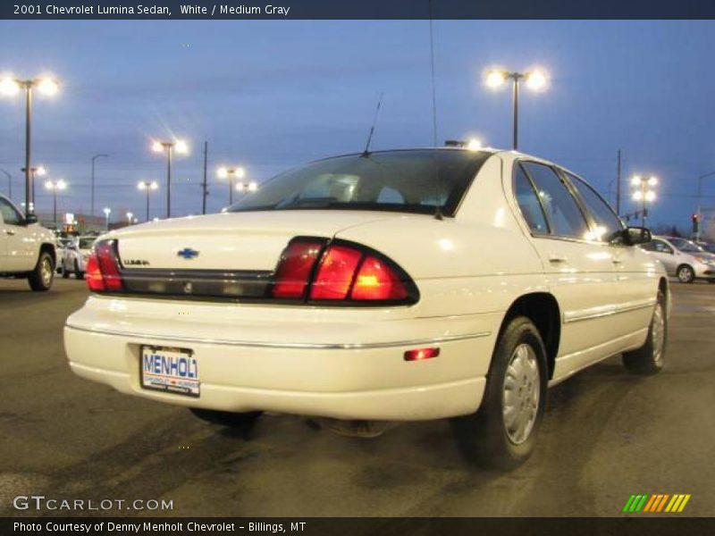 White / Medium Gray 2001 Chevrolet Lumina Sedan