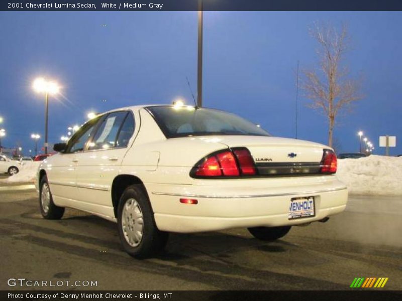 White / Medium Gray 2001 Chevrolet Lumina Sedan