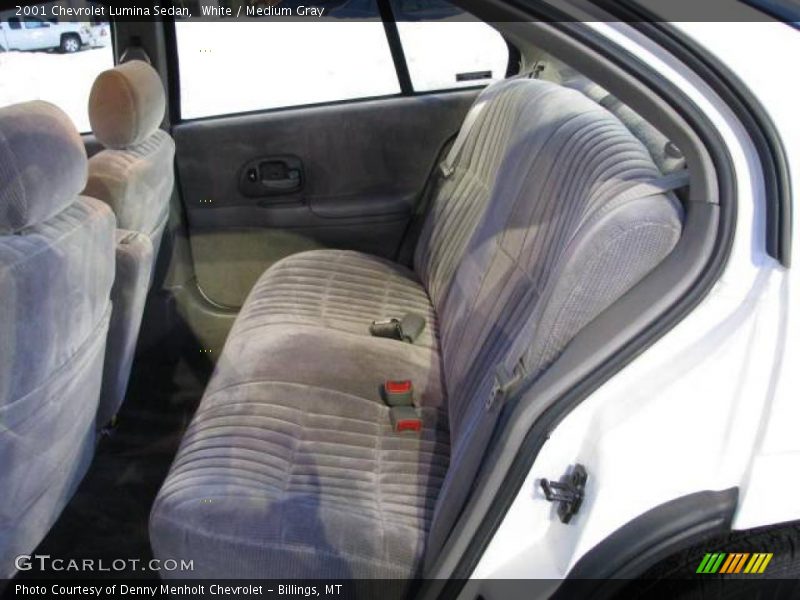 White / Medium Gray 2001 Chevrolet Lumina Sedan