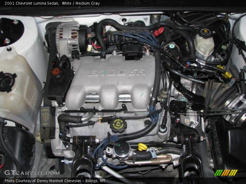 White / Medium Gray 2001 Chevrolet Lumina Sedan