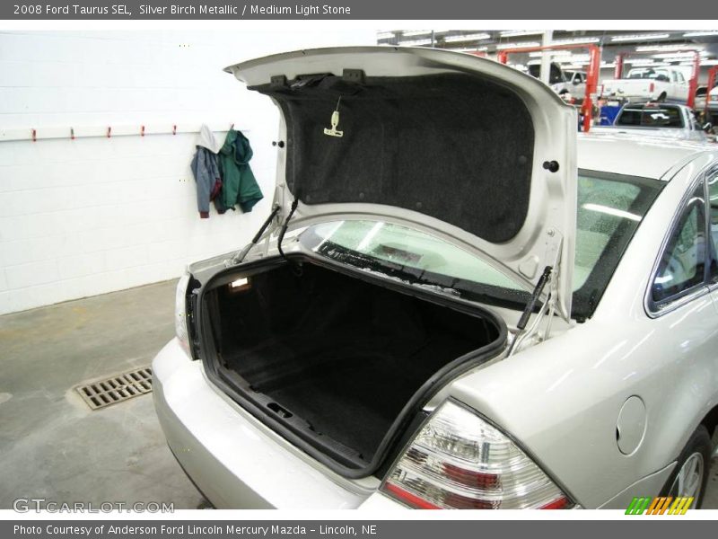 Silver Birch Metallic / Medium Light Stone 2008 Ford Taurus SEL