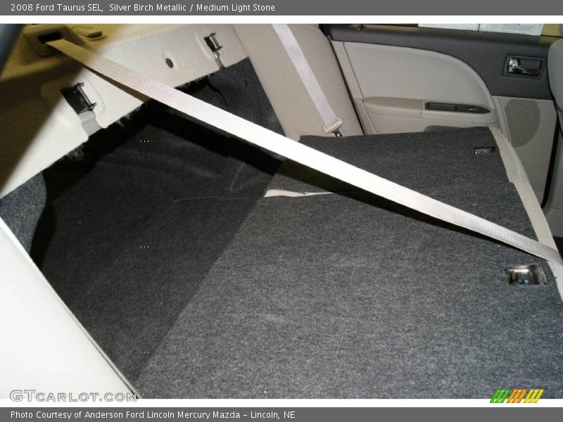 Silver Birch Metallic / Medium Light Stone 2008 Ford Taurus SEL
