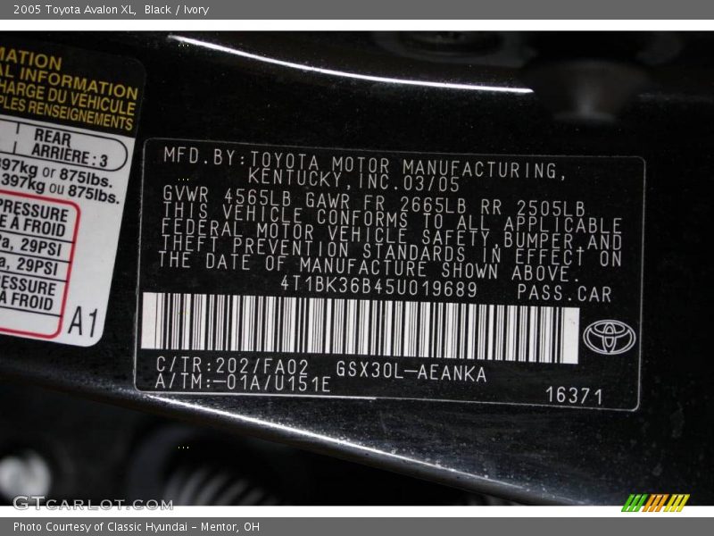 Black / Ivory 2005 Toyota Avalon XL
