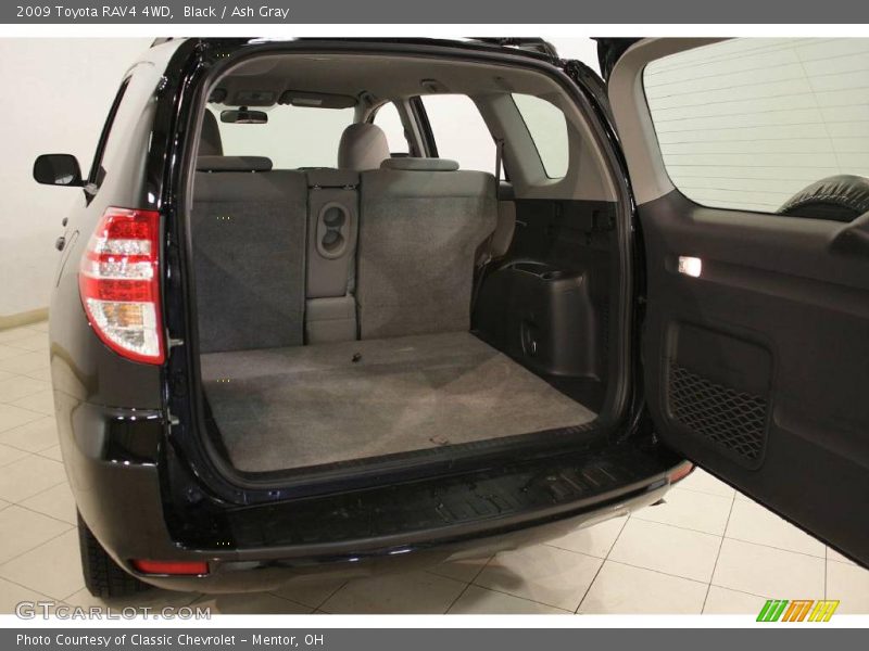 Black / Ash Gray 2009 Toyota RAV4 4WD