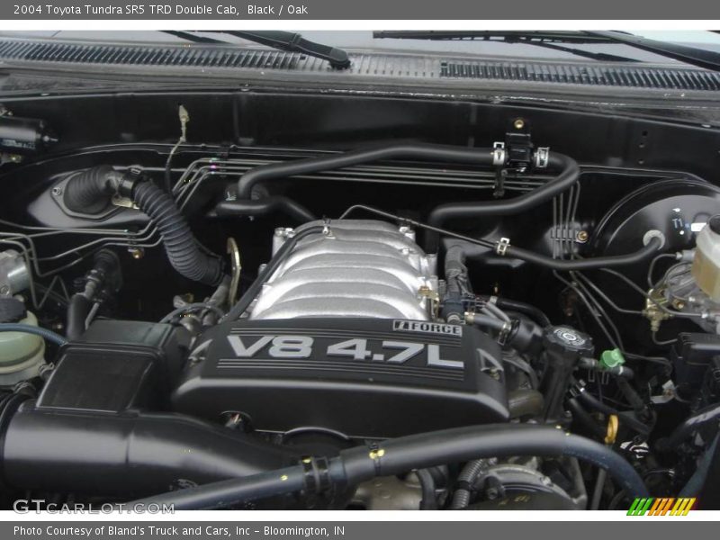 Black / Oak 2004 Toyota Tundra SR5 TRD Double Cab