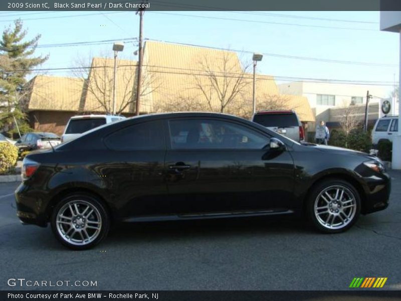 Black Sand Pearl / Dark Charcoal 2009 Scion tC