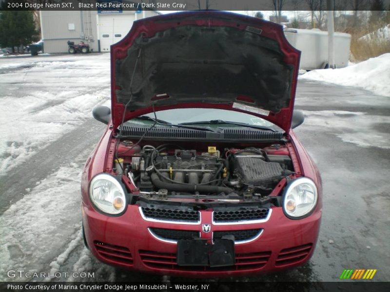 Blaze Red Pearlcoat / Dark Slate Gray 2004 Dodge Neon SXT
