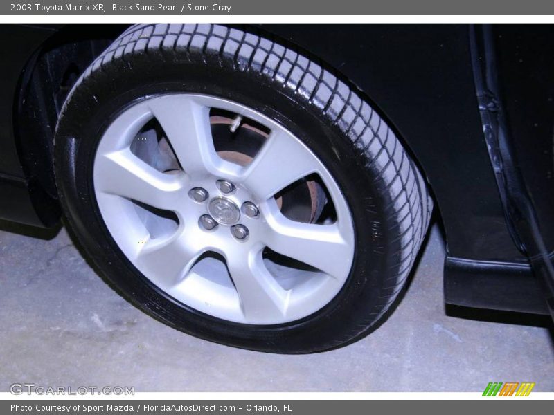 Black Sand Pearl / Stone Gray 2003 Toyota Matrix XR
