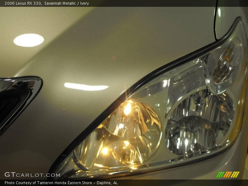 Savannah Metallic / Ivory 2006 Lexus RX 330