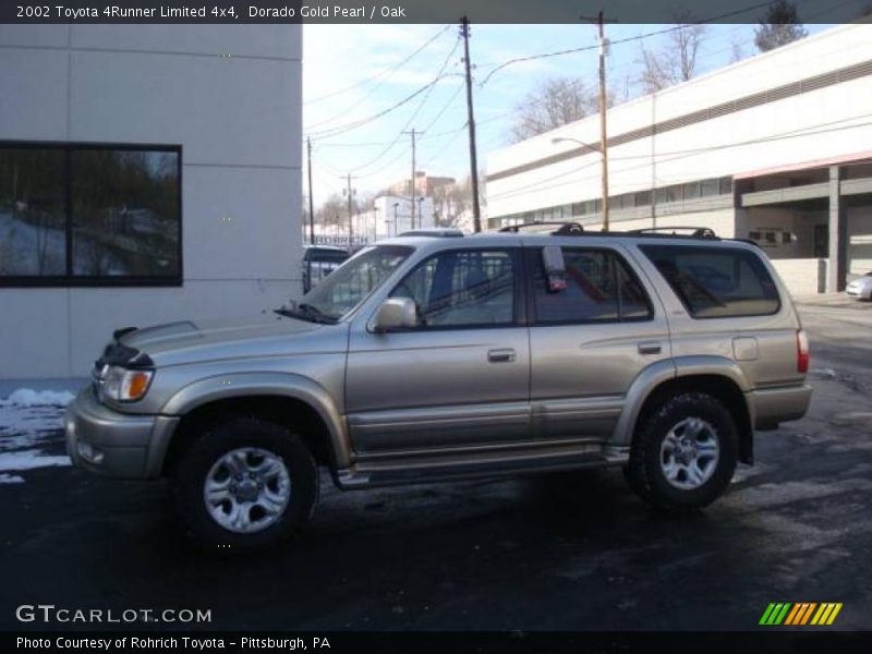 Dorado Gold Pearl / Oak 2002 Toyota 4Runner Limited 4x4