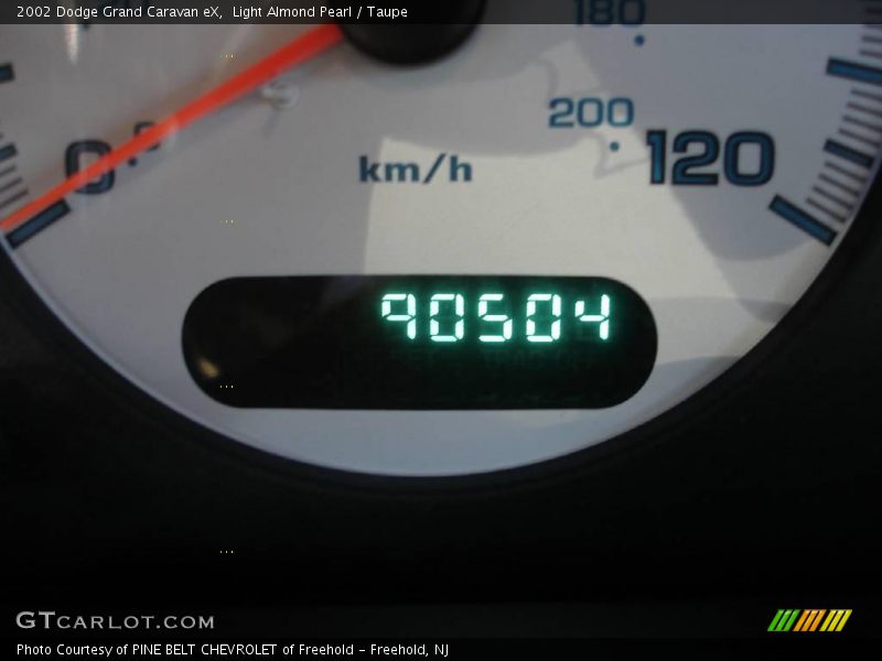 Light Almond Pearl / Taupe 2002 Dodge Grand Caravan eX