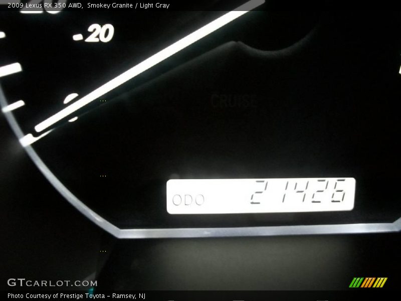 Smokey Granite / Light Gray 2009 Lexus RX 350 AWD