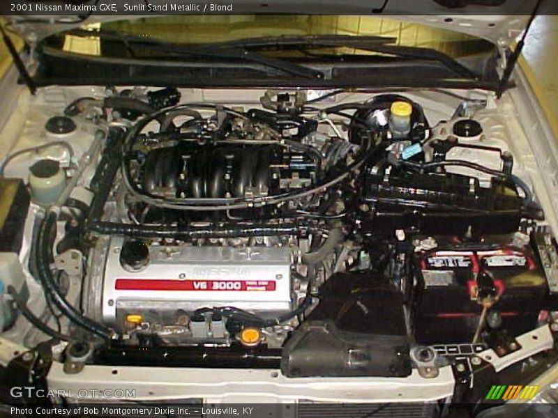 Sunlit Sand Metallic / Blond 2001 Nissan Maxima GXE