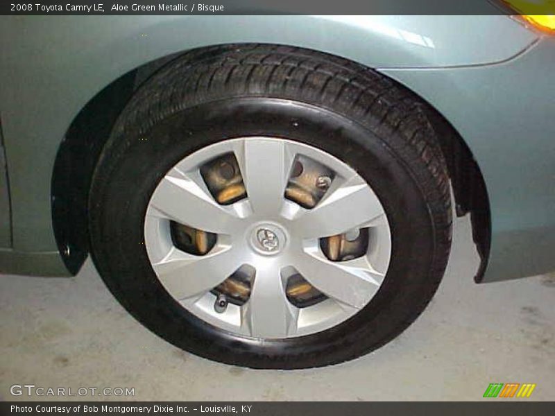 Aloe Green Metallic / Bisque 2008 Toyota Camry LE