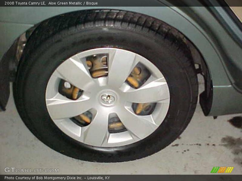 Aloe Green Metallic / Bisque 2008 Toyota Camry LE