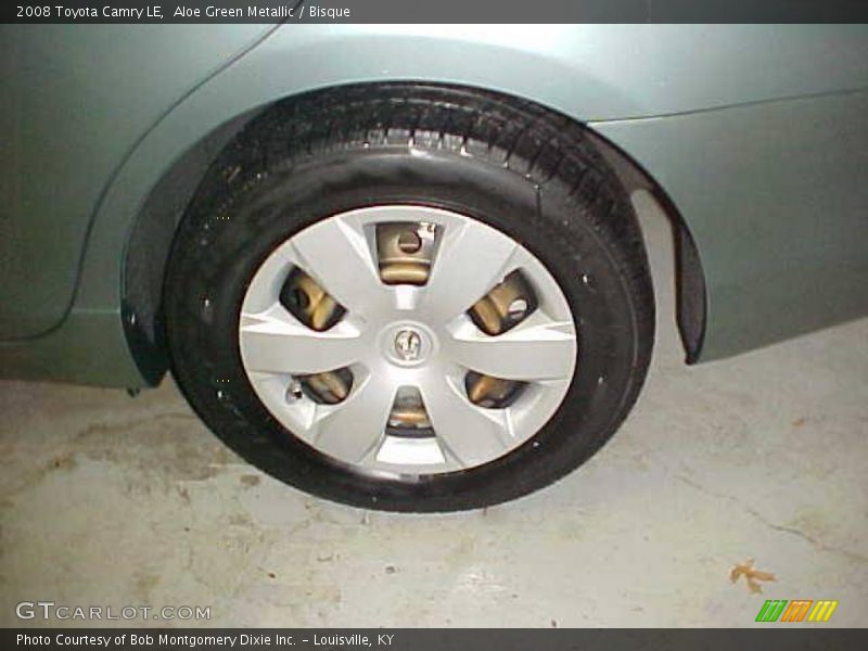 Aloe Green Metallic / Bisque 2008 Toyota Camry LE