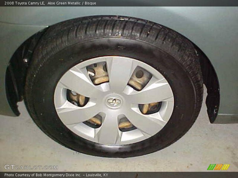 Aloe Green Metallic / Bisque 2008 Toyota Camry LE