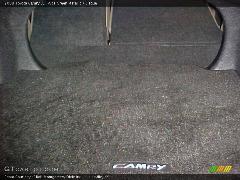 Aloe Green Metallic / Bisque 2008 Toyota Camry LE