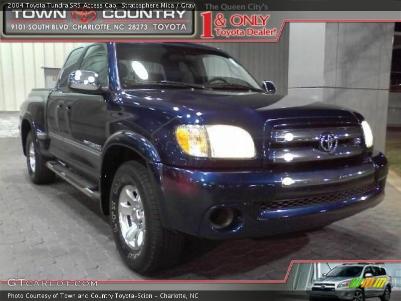 Stratosphere Mica / Gray 2004 Toyota Tundra SR5 Access Cab