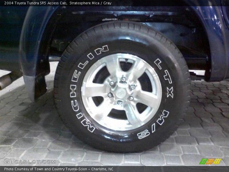 Stratosphere Mica / Gray 2004 Toyota Tundra SR5 Access Cab