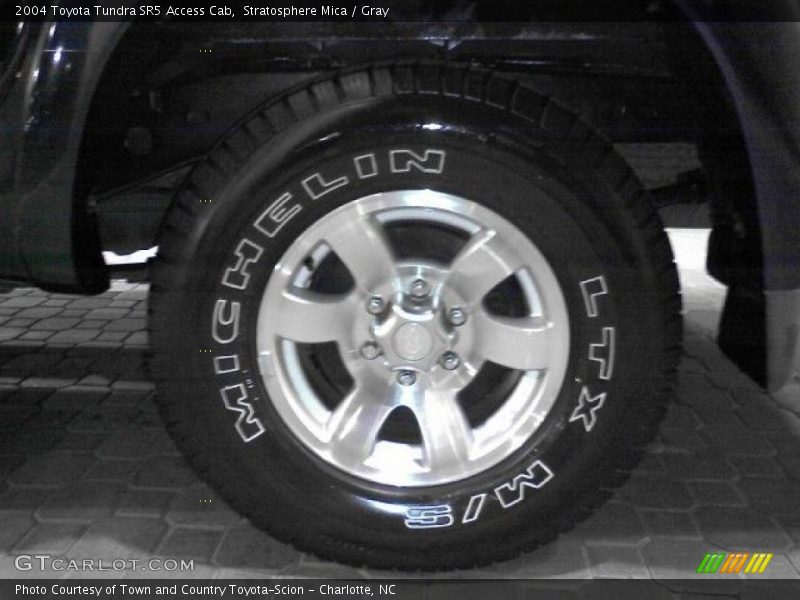 Stratosphere Mica / Gray 2004 Toyota Tundra SR5 Access Cab