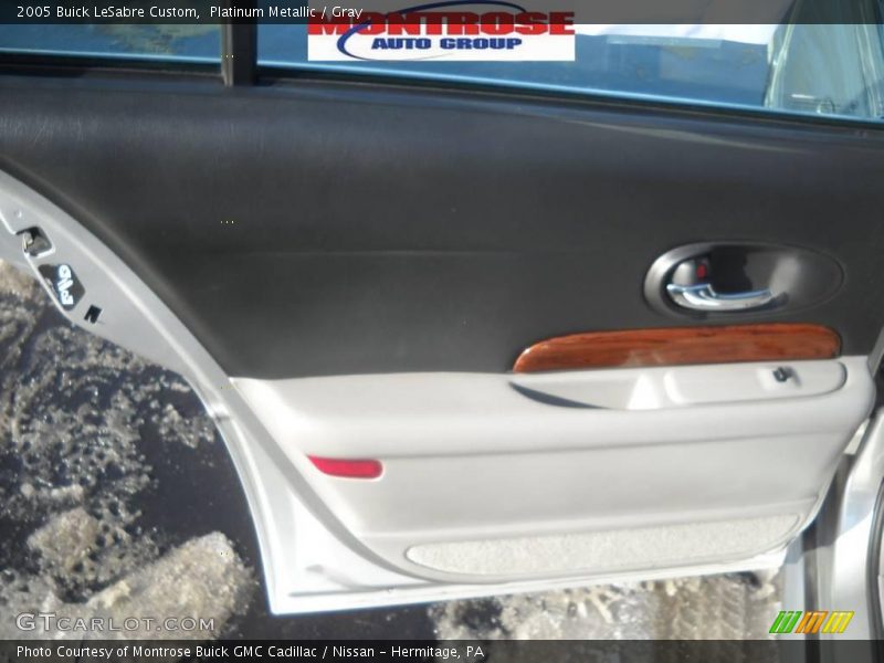 Platinum Metallic / Gray 2005 Buick LeSabre Custom