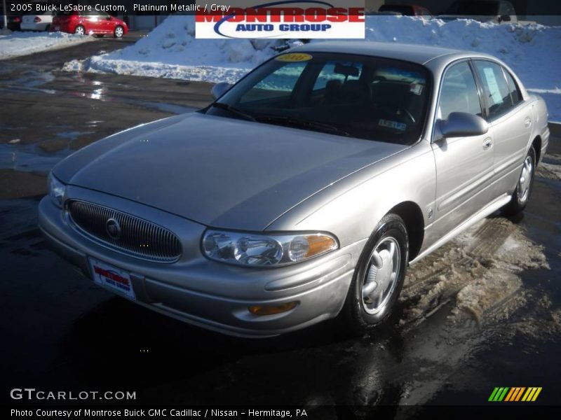 Platinum Metallic / Gray 2005 Buick LeSabre Custom