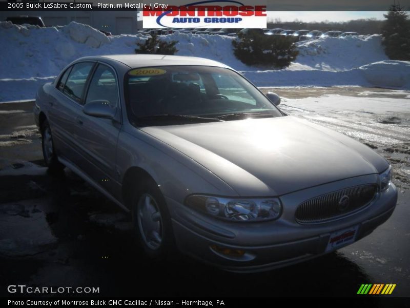 Platinum Metallic / Gray 2005 Buick LeSabre Custom