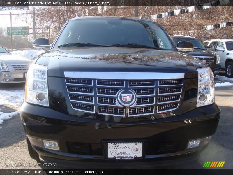 Black Raven / Ebony/Ebony 2009 Cadillac Escalade ESV AWD