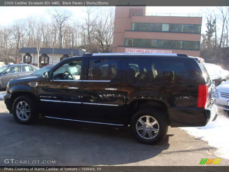 Black Raven / Ebony/Ebony 2009 Cadillac Escalade ESV AWD