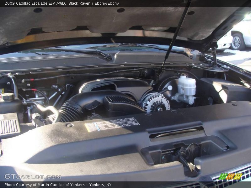 Black Raven / Ebony/Ebony 2009 Cadillac Escalade ESV AWD