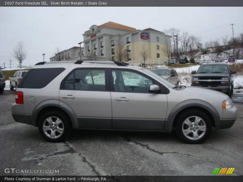 Silver Birch Metallic / Shale Grey 2007 Ford Freestyle SEL